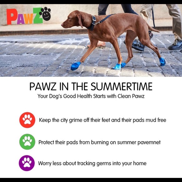 PAWS XS Yellow 1 1/2” - Picture 8 of 9